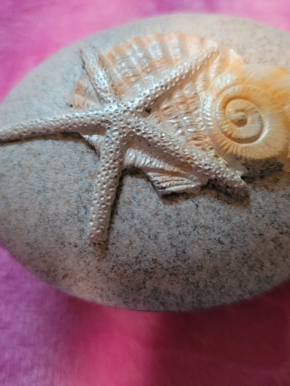 Decorative Starfish Shell Accent Stone in Beige and Natural
